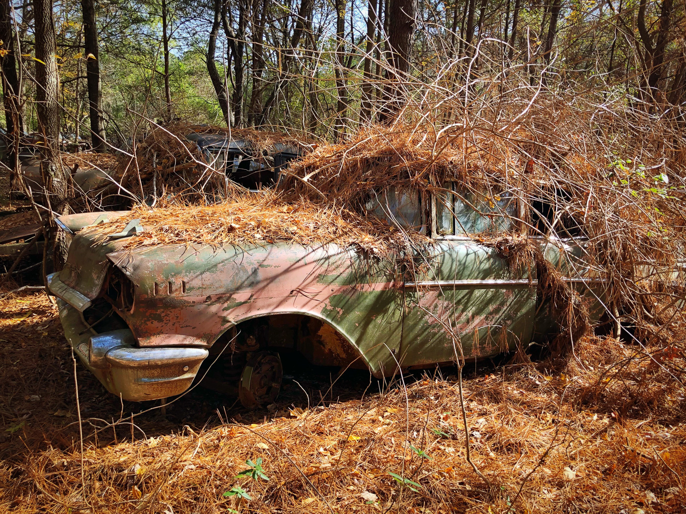 A Visit to Old Car City USA | Hardiman Images